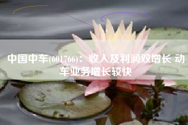 中国中车(601766)：收入及利润双增长 动车业务增长较快