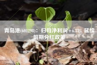 青岛港(601298)：归母净利润+6.33% 延续前期分红政策
