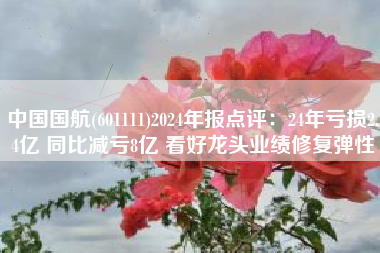 中国国航(601111)2024年报点评：24年亏损2.4亿 同比减亏8亿 看好龙头业绩修复弹性