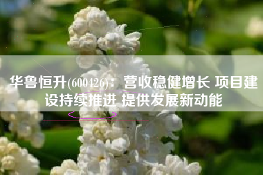 华鲁恒升(600426)：营收稳健增长 项目建设持续推进 提供发展新动能