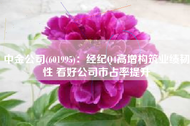 中金公司(601995)：经纪Q4高增构筑业绩韧性 看好公司市占率提升