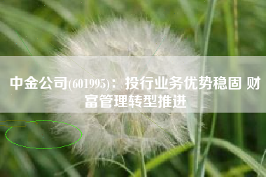 中金公司(601995)：投行业务优势稳固 财富管理转型推进