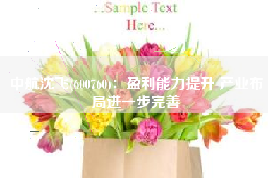 中航沈飞(600760)：盈利能力提升 产业布局进一步完善