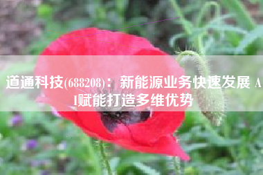 道通科技(688208)：新能源业务快速发展 AI赋能打造多维优势