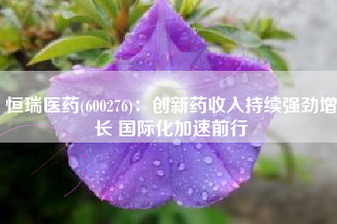 恒瑞医药(600276)：创新药收入持续强劲增长 国际化加速前行