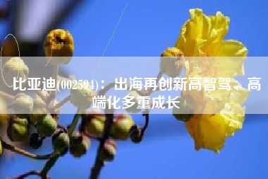 比亚迪(002594)：出海再创新高智驾、高端化多重成长