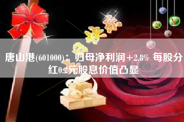唐山港(601000)：归母净利润+2.8% 每股分红0.2元股息价值凸显