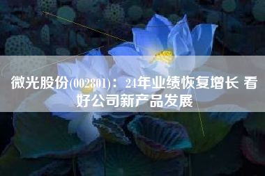 微光股份(002801)：24年业绩恢复增长 看好公司新产品发展