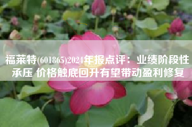 福莱特(601865)2024年报点评：业绩阶段性承压 价格触底回升有望带动盈利修复