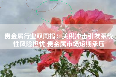 贵金属行业双周报：关税冲击引发系统性风险担忧 贵金属市场短期承压