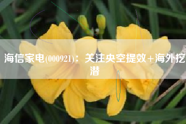 海信家电(000921)：关注央空提效+海外挖潜