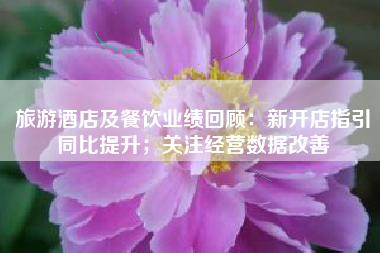 旅游酒店及餐饮业绩回顾：新开店指引同比提升；关注经营数据改善