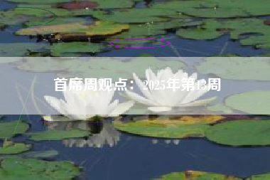 首席周观点：2025年第13周