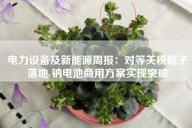 电力设备及新能源周报：对等关税靴子落地 钠电池商用方案实现突破