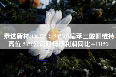泰达新材(430372)：2025Q1偏苯三酸酐维持高位 2024公司归母净利润同比+1112%