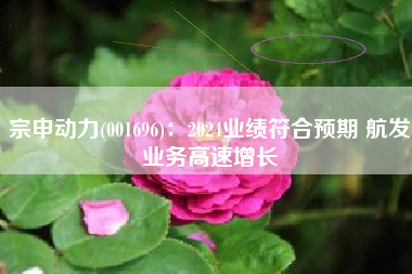 宗申动力(001696)：2024业绩符合预期 航发业务高速增长