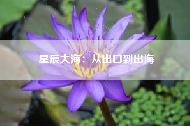 星辰大海：从出口到出海