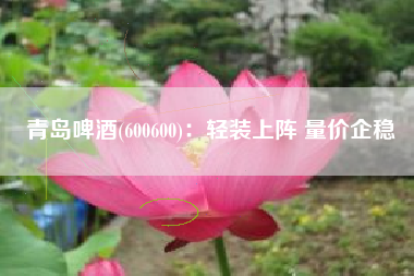 青岛啤酒(600600)：轻装上阵 量价企稳