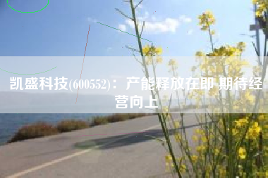 凯盛科技(600552)：产能释放在即 期待经营向上