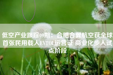 低空产业跟踪09期：合肥合翼航空获全球首张民用载人EVTOL运营证 商业化步入试点阶段
