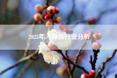 2025年人身险行业分析