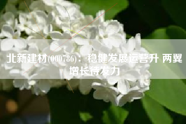 北新建材(000786)：稳健发展运营升 两翼增长待发力