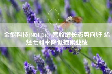金能科技(603113)：营收增长态势向好 烯烃毛利率降低拖累业绩