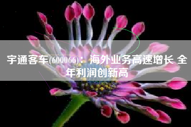 宇通客车(600066)：海外业务高速增长 全年利润创新高