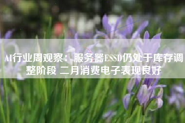 AI行业周观察：服务器ESSD仍处于库存调整阶段 二月消费电子表现良好