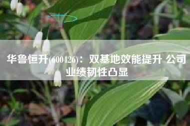 华鲁恒升(600426)：双基地效能提升 公司业绩韧性凸显