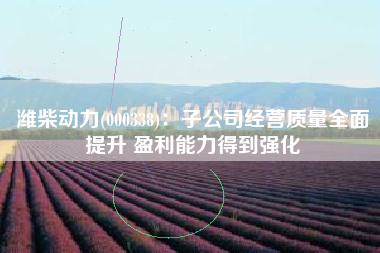 潍柴动力(000338)：子公司经营质量全面提升 盈利能力得到强化