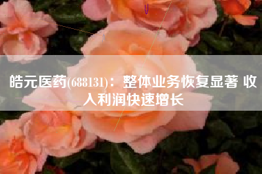 皓元医药(688131)：整体业务恢复显著 收入利润快速增长