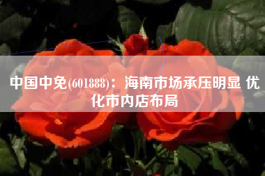 中国中免(601888)：海南市场承压明显 优化市内店布局