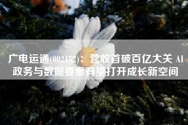 广电运通(002152)：营收首破百亿大关 AI政务与数据要素有望打开成长新空间