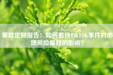 策略定期报告：如何看待TIKTOK事件对市场风险偏好的影响？