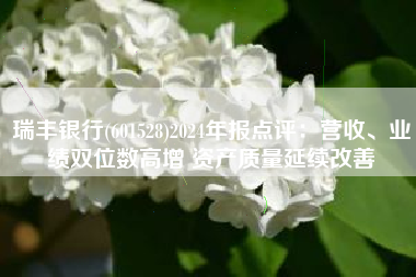 瑞丰银行(601528)2024年报点评：营收、业绩双位数高增 资产质量延续改善