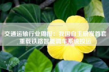 交通运输行业周报：我国自主研发首套重载铁路智能调车系统投运