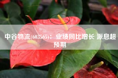 中谷物流(603565)：业绩同比增长 派息超预期