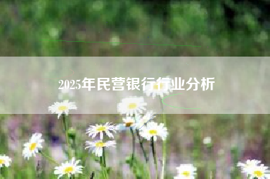 2025年民营银行行业分析