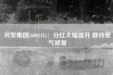 兴发集团(600141)：分红大幅提升 静待景气修复