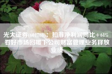 光大证券(601788)：扣非净利润同比+61% 看好市场回暖下公司财富管理业务释放业绩