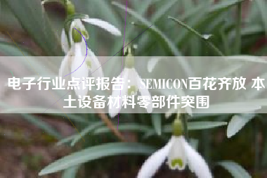 电子行业点评报告：SEMICON百花齐放 本土设备材料零部件突围