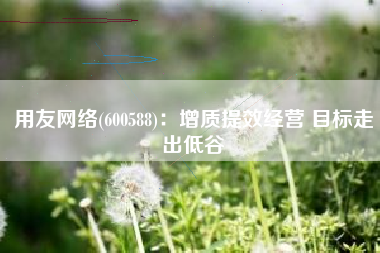 用友网络(600588)：增质提效经营 目标走出低谷