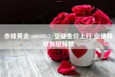 赤峰黄金(600988)：受益金价上行 业绩释放有望持续