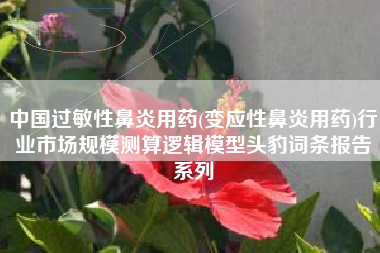 中国过敏性鼻炎用药(变应性鼻炎用药)行业市场规模测算逻辑模型头豹词条报告系列