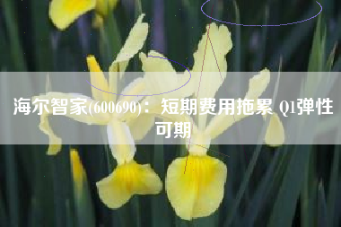 海尔智家(600690)：短期费用拖累 Q1弹性可期