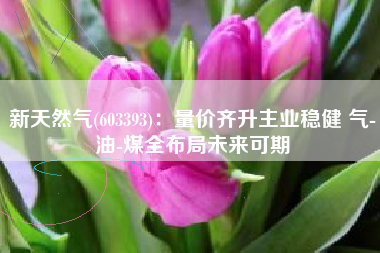 新天然气(603393)：量价齐升主业稳健 气-油-煤全布局未来可期