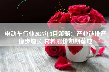 电动车行业2025年3月策略：产业链排产稳步增长 材料涨价如期落地