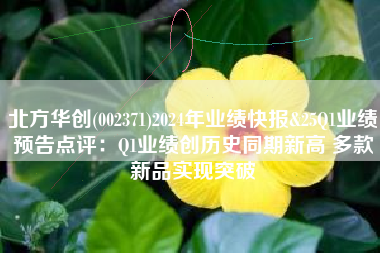 北方华创(002371)2024年业绩快报&25Q1业绩预告点评：Q1业绩创历史同期新高 多款新品实现突破
