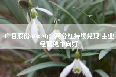广日股份(600894)：高分红持续兑现 主业经营稳中向好